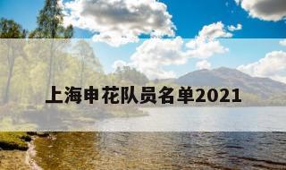 上海申花队员名单2021 上海申花队人员名单2023